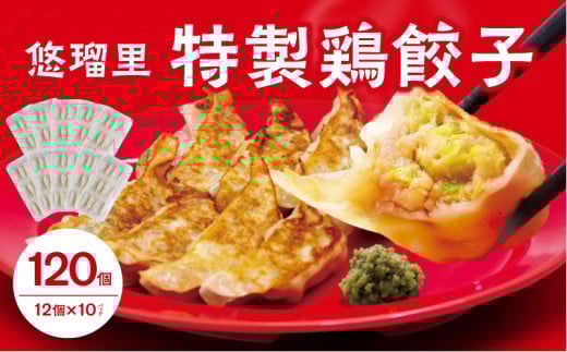 悠瑠里特製鶏餃子120個【宮崎市は餃子購入頻度ランキング 2年連続第1位_M293-004宮崎県宮崎市18000鍋セット・総菜・加工食品総菜