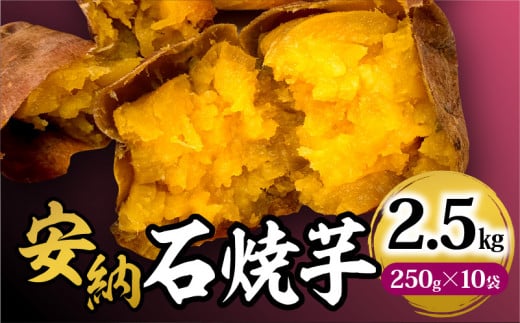安納石焼芋 10袋セット_M295-001宮崎県宮崎市13000野菜・きのこじゃがいも・イモ類