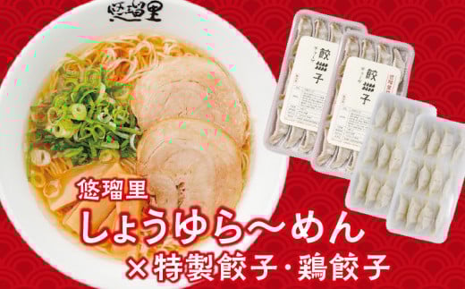 悠瑠里しょうゆら〜めん4食セット×悠瑠里特製餃子2P×鶏餃子2P_M293-009宮崎県宮崎市19000麺ラーメン