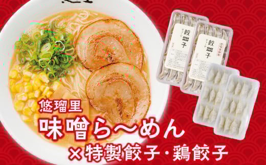 悠瑠里味噌ら〜めん4食セット×悠瑠里特製餃子2P×鶏餃子2P_M293-018宮崎県宮崎市20000麺ラーメン