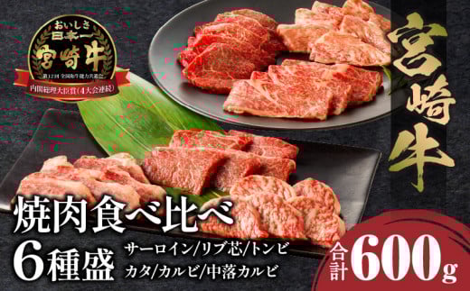 宮崎牛 焼肉食べ比べ6種盛 600g_M243-031宮崎県宮崎市25000肉牛肉