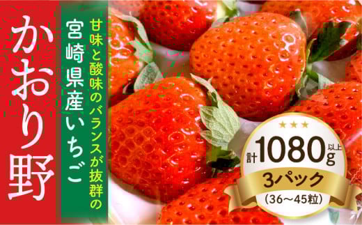 《2026年発送》【数量・期間限定】宮崎県産いちご「かおり野」3パック(計1080g以上:36粒〜45粒)_M260-014宮崎県宮崎市53000果物・フルーツいちご