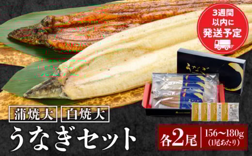 白焼大2尾・蒲焼大2尾セット 冬うなぎ_M069-018宮崎県宮崎市57000魚介・海産物うなぎ