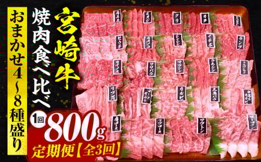 【定期便全3回】宮崎牛焼肉食べ比べ4種〜8種盛り 合計800g_M243-T2309-2宮崎県宮崎市104000肉牛肉
