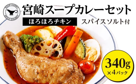 宮崎スープカレーセット(スープカレーほろほろチキン真空冷凍パック、スパイスソルト)_M310-001宮崎県宮崎市17000鍋セット・総菜・加工食品総菜