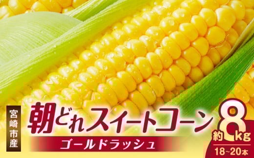 《2026年発送先行予約》【数量・期間限定】宮崎市産朝どれスイートコーン(ゴールドラッシュ)約8kg_M320-001宮崎県宮崎市14000野菜・きのことうもろこし