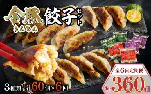 【定期便 偶数月 全6回】金豚餃子セット(香港餃子・しそ餃子・にら餃子 1パック10個入×各2パック) 金豚 餃子 ぎょうざ ぎょーざ ギョーザ 香港餃子 しそ餃子 しそ にら にら餃子 ニラ 10