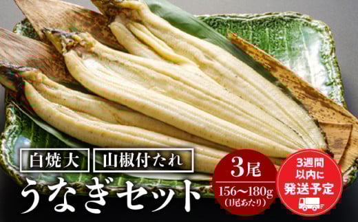 うなぎ白焼3尾セット 冬うなぎ_M069-019宮崎県宮崎市37000魚介・海産物うなぎ