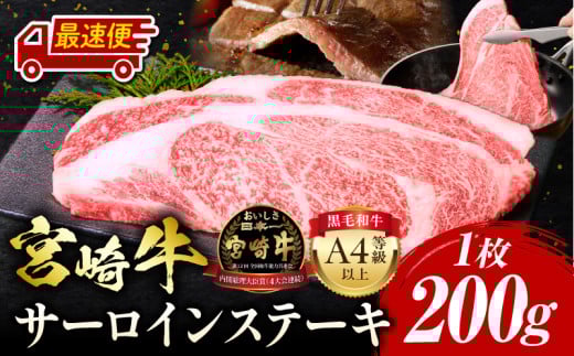 yőցz{苍 T[CXe[L 1 v200g_M243-036-2W{茧{s12000