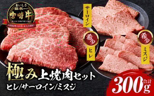 宮崎牛 極み上焼肉セット_M243-040宮崎県宮崎市21000肉牛肉