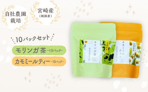 モリンガ茶・カモミールティー10パックセット_M295-009宮崎県宮崎市8000お茶・飲料お茶