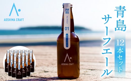 青島サーフエール12本セット_M336-003宮崎県宮崎市26000酒・アルコールビール・発泡酒