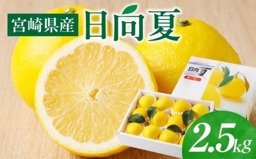 s2026Ns\tyʁEԌz{茧Y 2.5kg ϔ_M320-002{茧{s14000ʕEt[c݂Ek