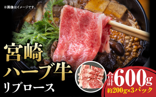 宮崎ハーブ牛リブロース2mmスライス 合計600g_M199-010宮崎県宮崎市17000肉牛肉