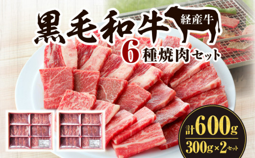 黒毛和牛(経産牛)6種焼肉セット300g × 2(計600g)_M132-078宮崎県宮崎市17000肉牛肉