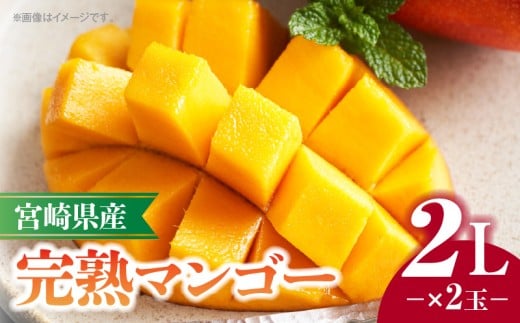 《2026年発送先行予約》【数量・期間限定】宮崎県産完熟マンゴー 2L×2玉_M320-007宮崎県宮崎市17000果物・フルーツマンゴー・パイナップル
