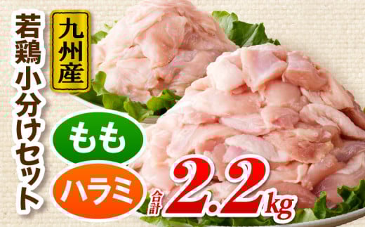 九州産若どり2.2kg小分けセット_M333-003_01宮崎県宮崎市11000肉鶏肉
