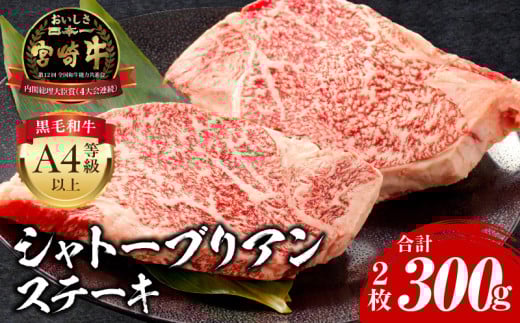 宮崎牛 シャトーブリアンステーキ 2枚 合計300g_M243-028宮崎県宮崎市51000肉牛肉