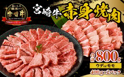 {苍Ԑgē v800g_M332-008{茧{s19000