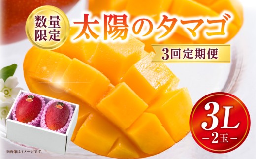 《2026年発送先行予約》【数量・期間限定】3回定期便 太陽のタマゴコース_M354-T003宮崎県宮崎市156000果物・フルーツマンゴー・パイナップル