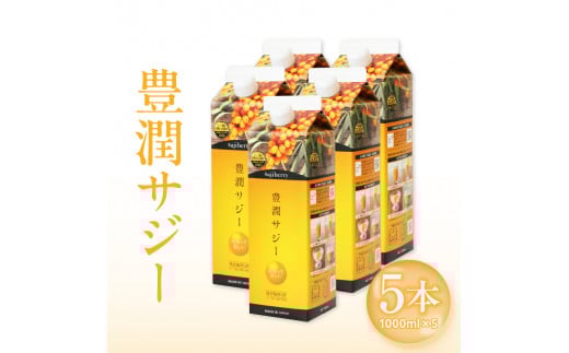 豊潤サジー 1000ml×5本セット サジージュース【紙パックタイプ】_M327-005宮崎県宮崎市92000お茶・飲料果汁・野菜飲料