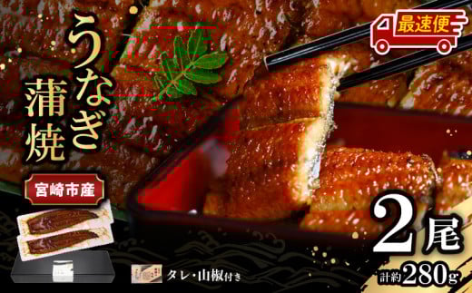 【最速便】【日時指定可能】宮崎県宮崎市産 うなぎの蒲焼 約280g(約140g×2尾)タレ・山椒セット_M325-002-2W宮崎県宮崎市17000魚介・海産物うなぎ