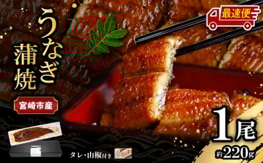 【最速便】【日時指定可能】宮崎県宮崎市産 うなぎの蒲焼 約220g(約220g×1尾)タレ・山椒セット_M325-009-2W宮崎県宮崎市15000魚介・海産物うなぎ