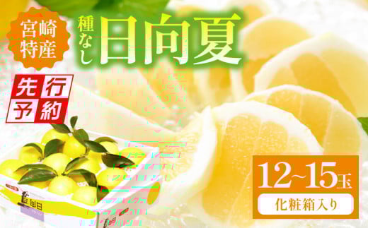 【先行予約】【期間・数量限定】宮崎特産 日向夏_M342-001宮崎県宮崎市24000果物・フルーツみかん・柑橘類