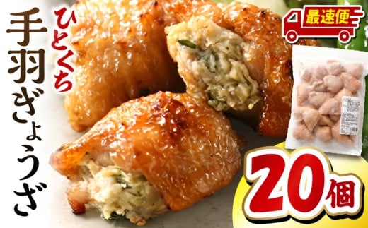 【最速便】ひとくち手羽ぎょうざ 20個入×1パック_M025-005-01-2W宮崎県宮崎市12000鍋セット・総菜・加工食品総菜