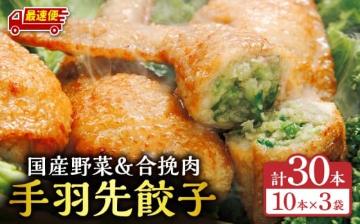 【最速便】手羽先餃子30本入り_M025-001-03-2W宮崎県宮崎市15000鍋セット・総菜・加工食品総菜