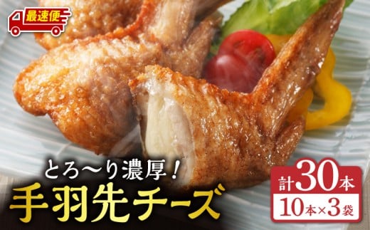 【最速便】手羽先チーズ30本入り_M025-001-05-2W宮崎県宮崎市15000鍋セット・総菜・加工食品総菜