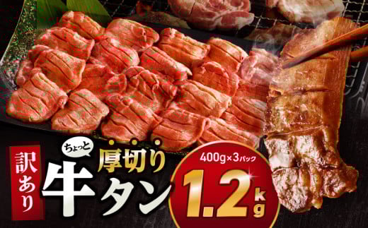 y2025N11z󂠂IIƌ؂苍^II3Pi1.2kgj_M179-021_01-nov{茧{s17000