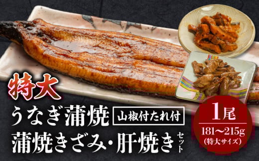 《2025年11月発送予定》国産うなぎ蒲焼(特大サイズ)・きざみ・肝焼きセット_M069-014_01-nov宮崎県宮崎市14000魚介・海産物うなぎ