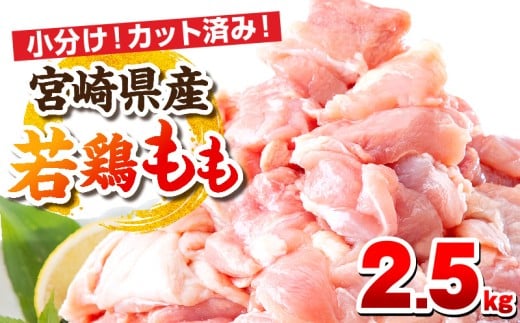 y11\z{茧Y{  2.5kgi250g×10pbNj_M146-008_01_nov{茧{s15000{