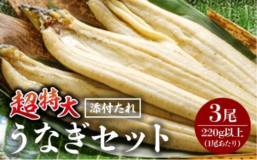 s2026N1\tȂ(TCY) 3_M069-024-jan{茧{s38000ECYȂ