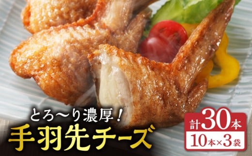 手羽先チーズ30本入り_M025-001-05宮崎県宮崎市15000鍋セット・総菜・加工食品総菜