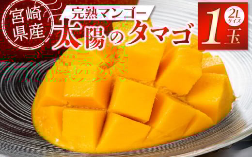s2026Ns\tyʁEԌz{Yi {茧Yn}S[ z̃^}S 2L×1_M275-003{茧{s13000ʕEt[c}S[EpCibv