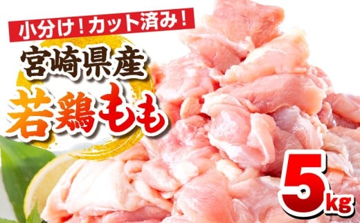 【2月発送予定】宮崎県産若鶏 もも肉 5kg(250g×20パック)_M146-008_02_feb宮崎県宮崎市26000肉鶏肉