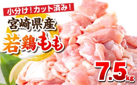 y2\z{茧Y{  7.5kg(250g×30pbN)_M146-008_03_feb{茧{s49000{