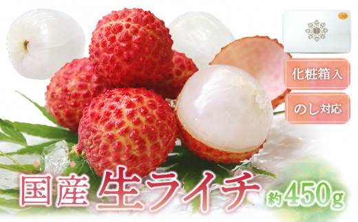 【先行予約/数量限定】希少 国産 綾生ライチ(化粧箱入り)  宮崎県 綾町産 ライチ 贈答 ギフト プレゼント 国産ライチ 果物 フルーツ 生ライチ 産地直送 期間限定  お中元宮崎県綾町20000果