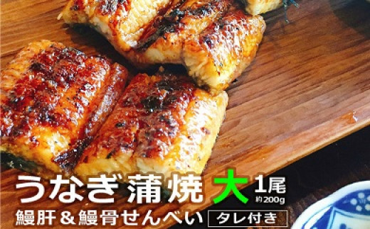 うなぎ蒲焼(大サイズ)1尾 〜鰻肝&鰻骨せんべい付き〜宮崎県綾町13000魚介・海産物うなぎ