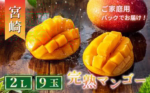 完熟マンゴー 2L×9玉(パック)【濃厚 宮崎 高級 果物 フルーツ 贈答 ギフト 甘い  先行受付】宮崎県綾町70000果物・フルーツマンゴー・パイナップル