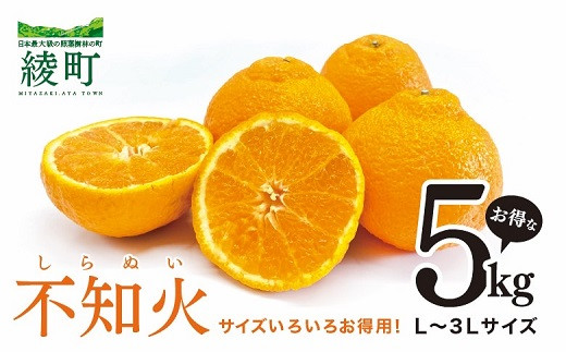 [s\] sm TCY낢 5kgy݂ ʂ sm t[c k  ʕ  { z{茧12000ʕEt[c݂Ek