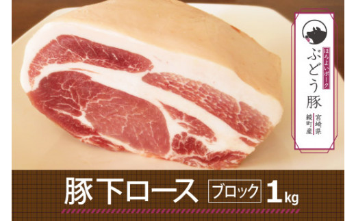 綾ぶどう豚下ロースブロック1kg宮崎県綾町9000肉豚肉