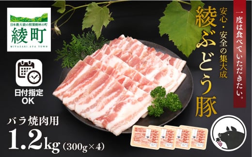 綾ぶどう豚 バラ肉 焼肉 お試しセット宮崎県綾町13000肉豚肉