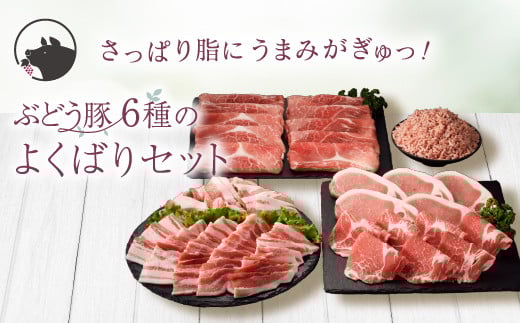 【希少】ブランド豚「綾ぶどう豚」 詰め合わせ よくばりセット 2.7kg  【宮崎県産 綾町産 ぶどう豚  豚肉 国産 銘柄豚 ポーク ロース とんかつ 肩ロース 生姜焼き 豚バラ 焼肉用 豚小間切れ