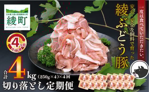 Y ؓ uh  Ԃǂ ؂藎Ƃ 4  Zbg w茎 { ͂{茧39000ؓ