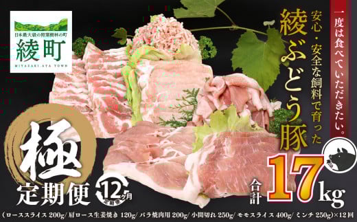 国産 豚肉 ブランド 豚 綾ぶどう豚 よりどり 詰め合わせ 12か月 定期便 セット 毎月 中旬 お届け ロース スライス 生姜焼き バラ 焼肉 小間切れ モモ スライス ミンチ しゃぶしゃぶ宮崎県綾町