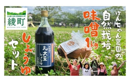 けんちゃん農園 自然栽 培味噌(大)・ しょうゆ セット宮崎県綾町19000調味料・油味噌