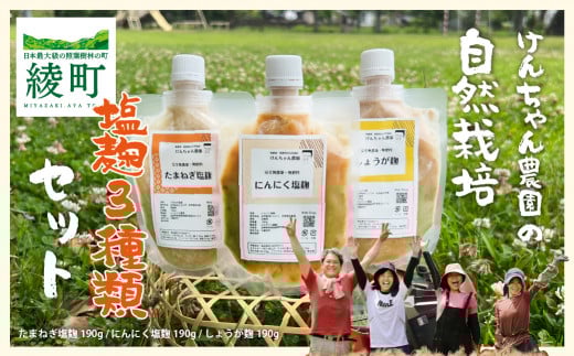 けんちゃん農園 塩麹 3種 腸活 セット宮崎県綾町17000調味料・油